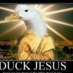 Duck Jesus