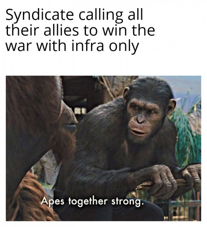 Apes Together Strong 05112020120018.jpg