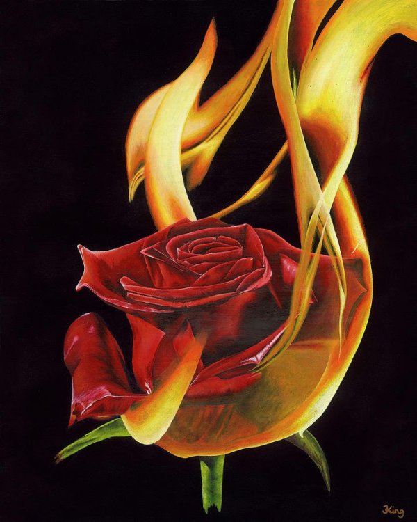 burning-rose-pt2-jasmine-king.jpg