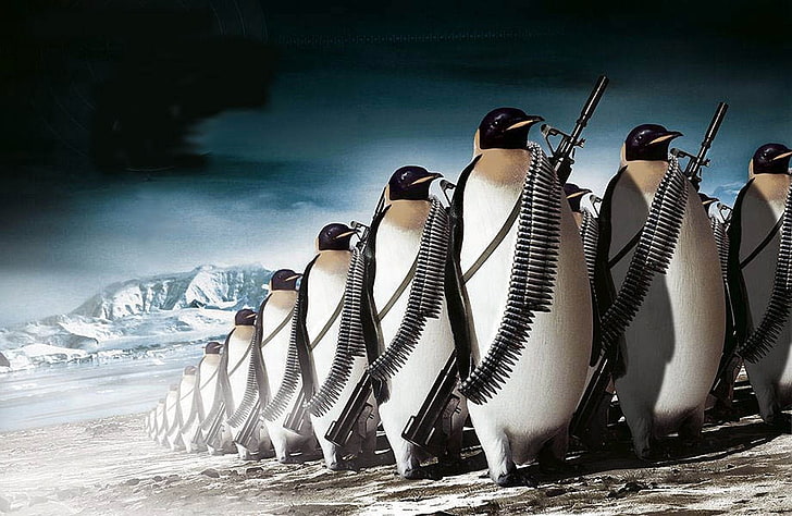 military-other-ice-penguin-wallpaper-preview.jpg.bd880f46ffe8ff5690012137bba63d0c.jpg