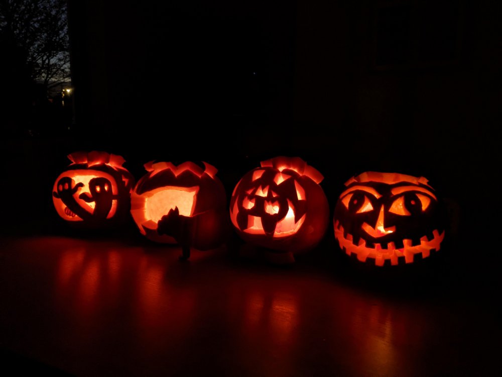 pumpkin-group-2.jpeg