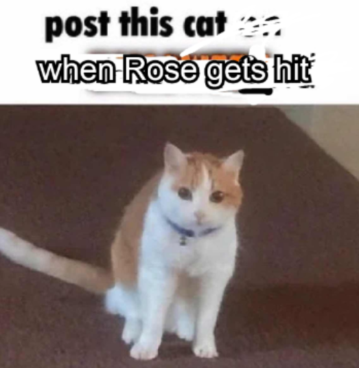 image.png.85c236c7b53ff7ffeb56080366b268d4.png