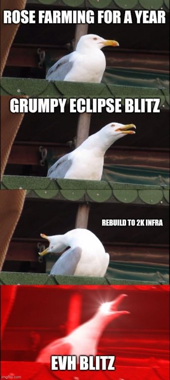9um6y5.jpg