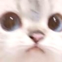 Ayayay